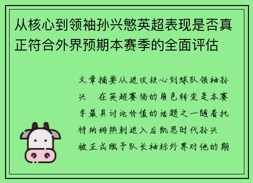 从核心到领袖孙兴慜英超表现是否真正符合外界预期本赛季的全面评估