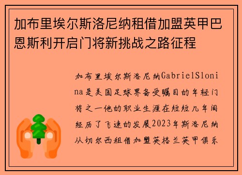 加布里埃尔斯洛尼纳租借加盟英甲巴恩斯利开启门将新挑战之路征程
